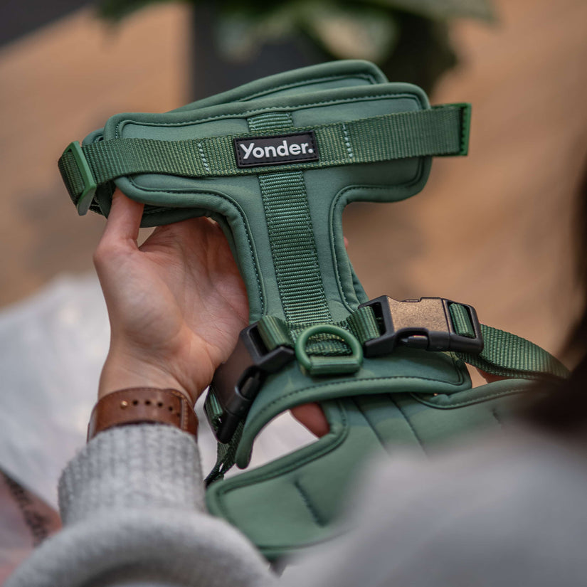 green yonder dog harness