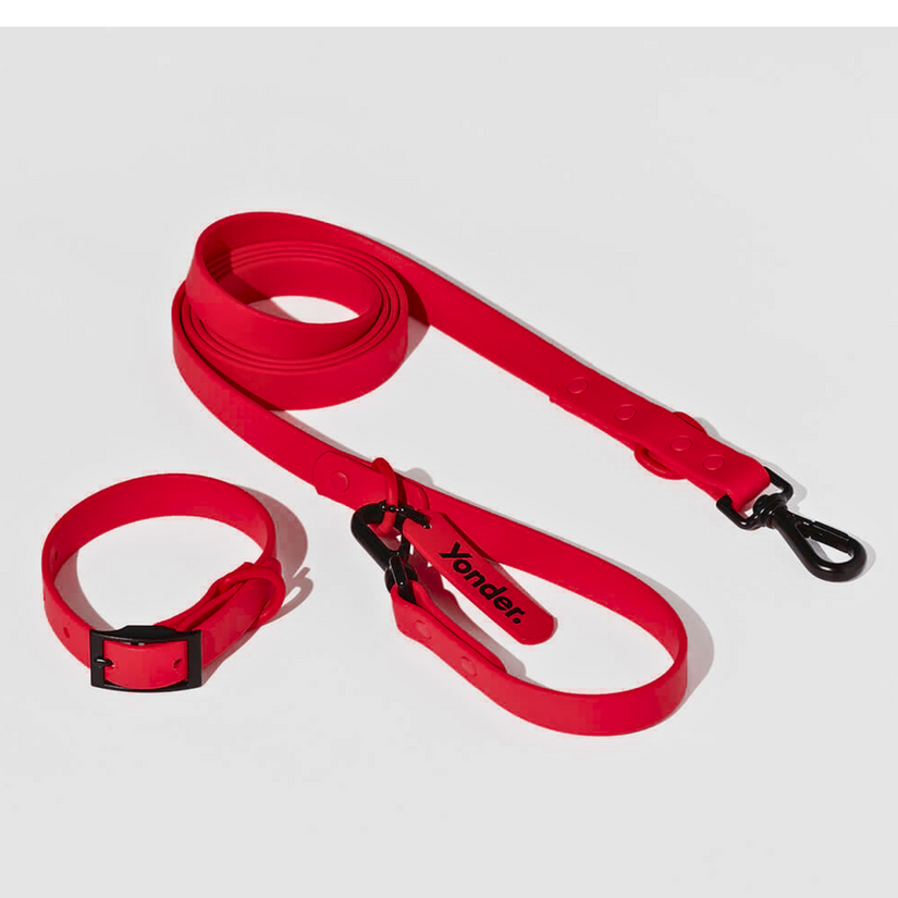 red dog collar and lead