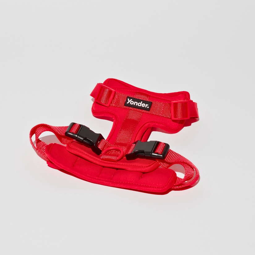 red dog harnesses in australia