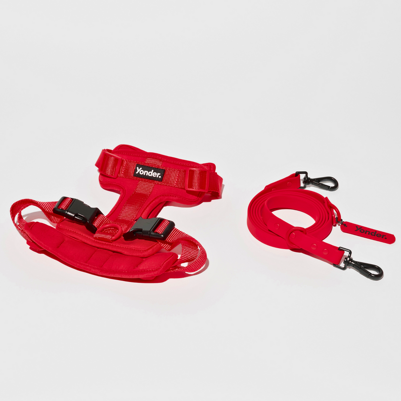 red dog harness set