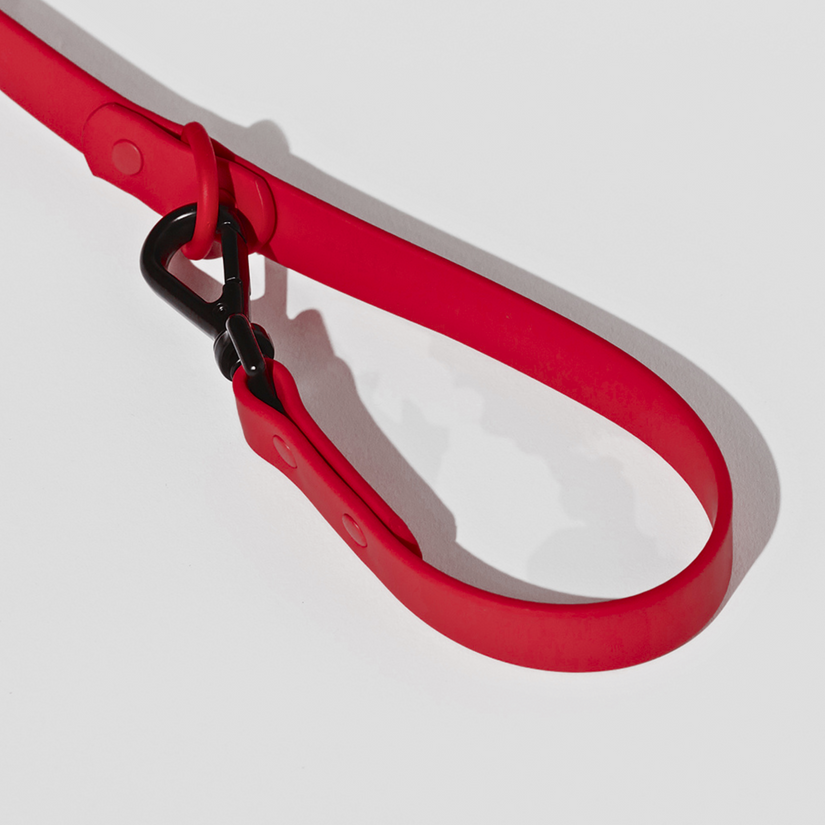 designer red dog leads in australia