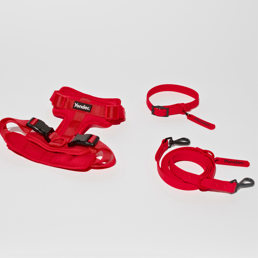 red dog walking sets