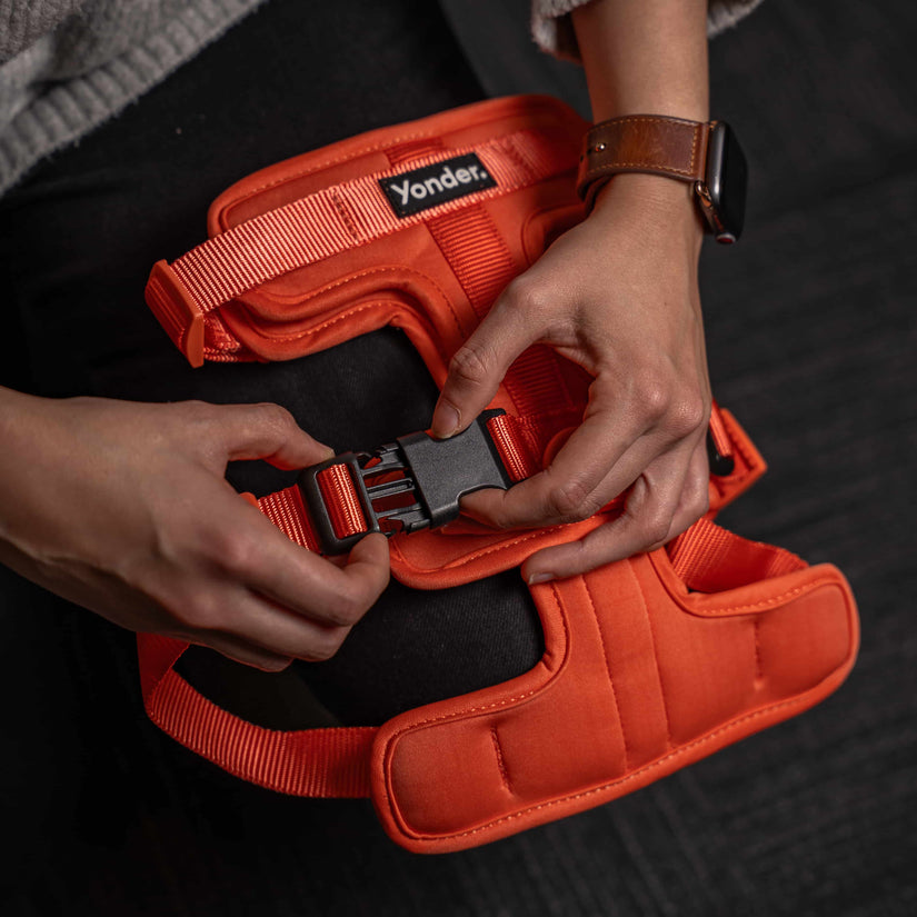 clips on peach yonder dog harness