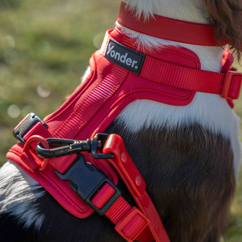 red yonder dog harness