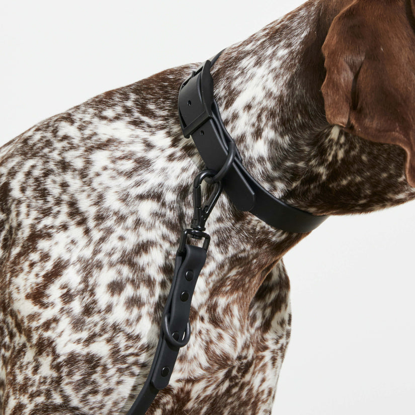 black waterproof dog collars