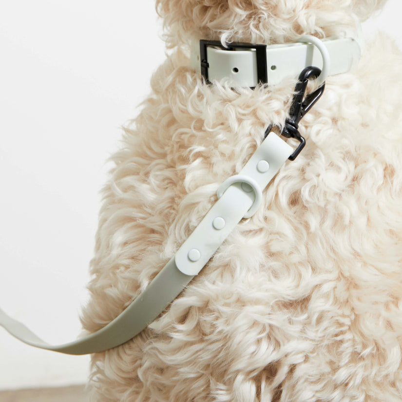 stylish grey dog leads
