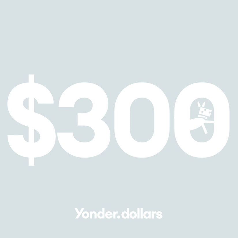 $300 yonder dog gift card