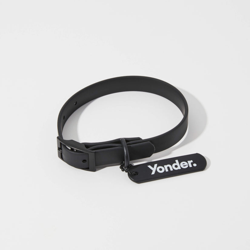 designer dog collar black