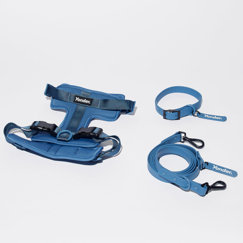blue dog harness with collar and lead