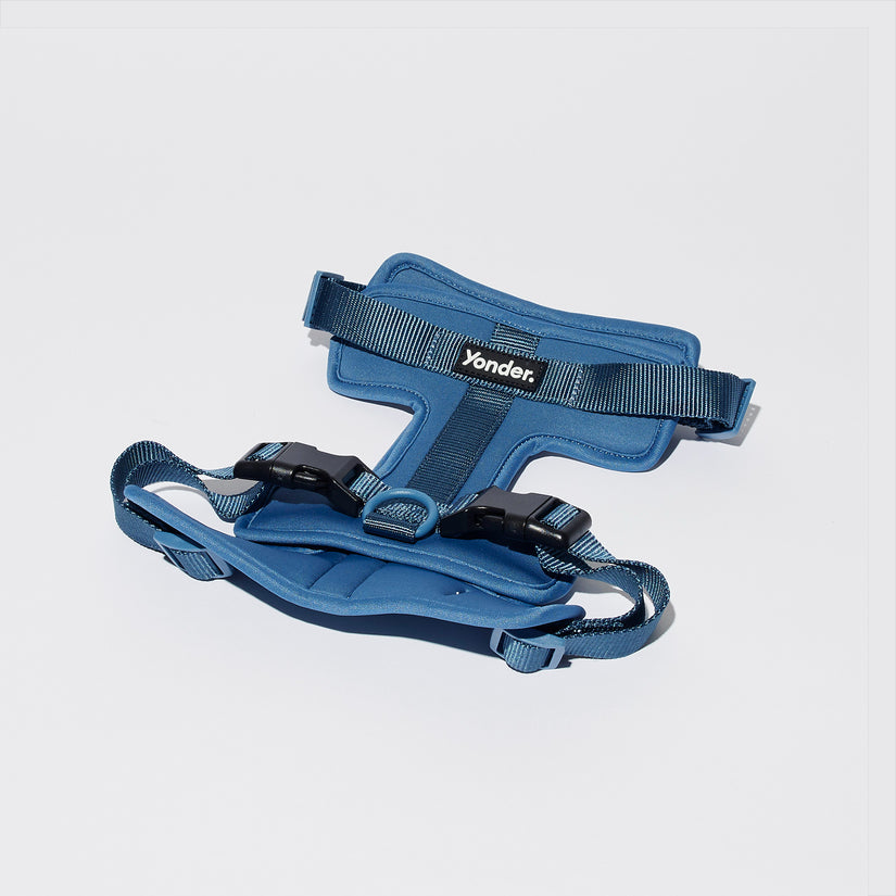 blue dog harness