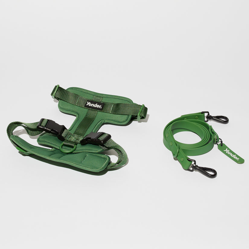 green dog harness set