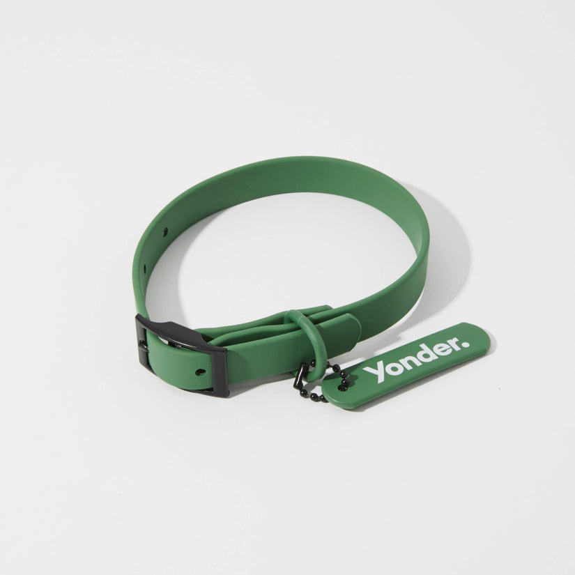 green waterproof dog collar