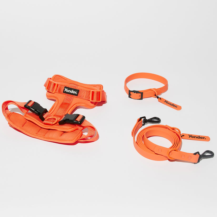 peach dog walking set