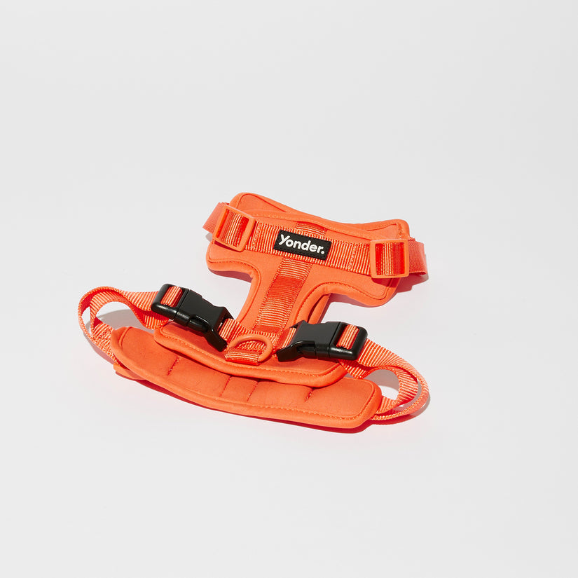 peach dog harnesses in australia