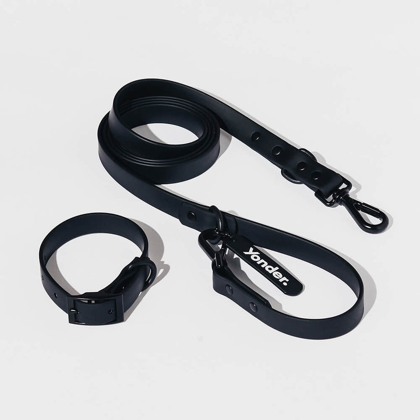 black dog collar and lead sets