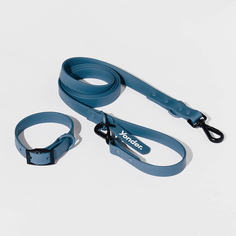 blue dog collars and leads