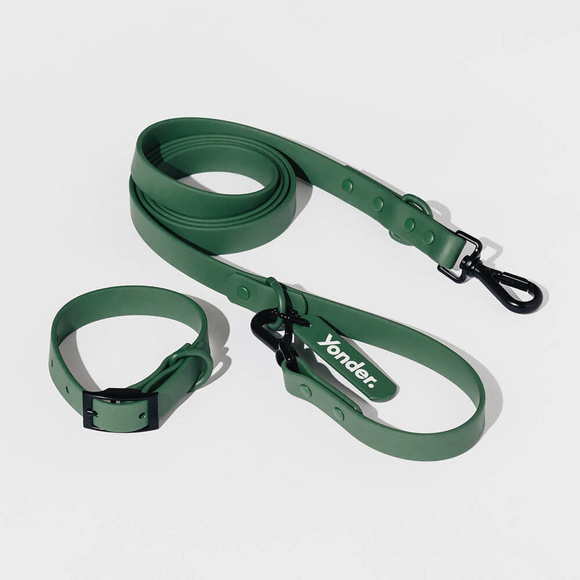 green dog collar and lead set