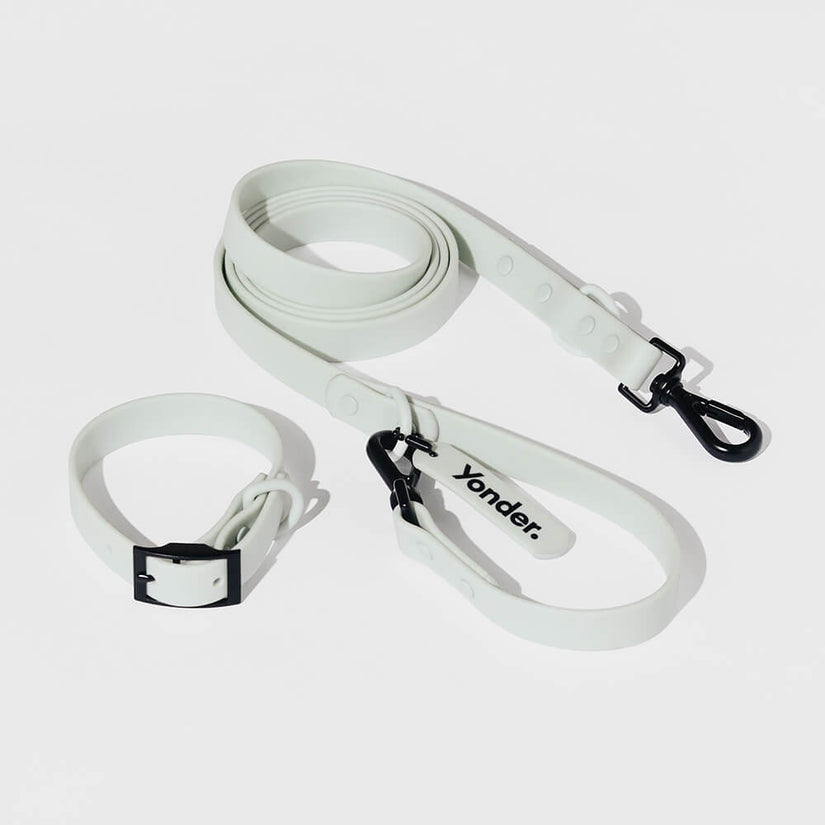 grey dog collars and leads
