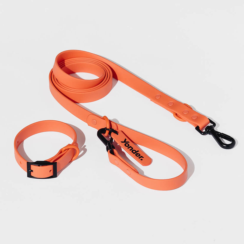 peach dog collar and lead set