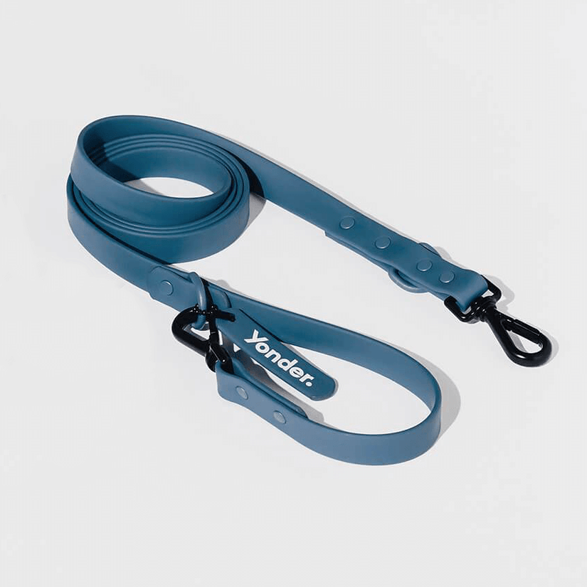 designer dog lead blue