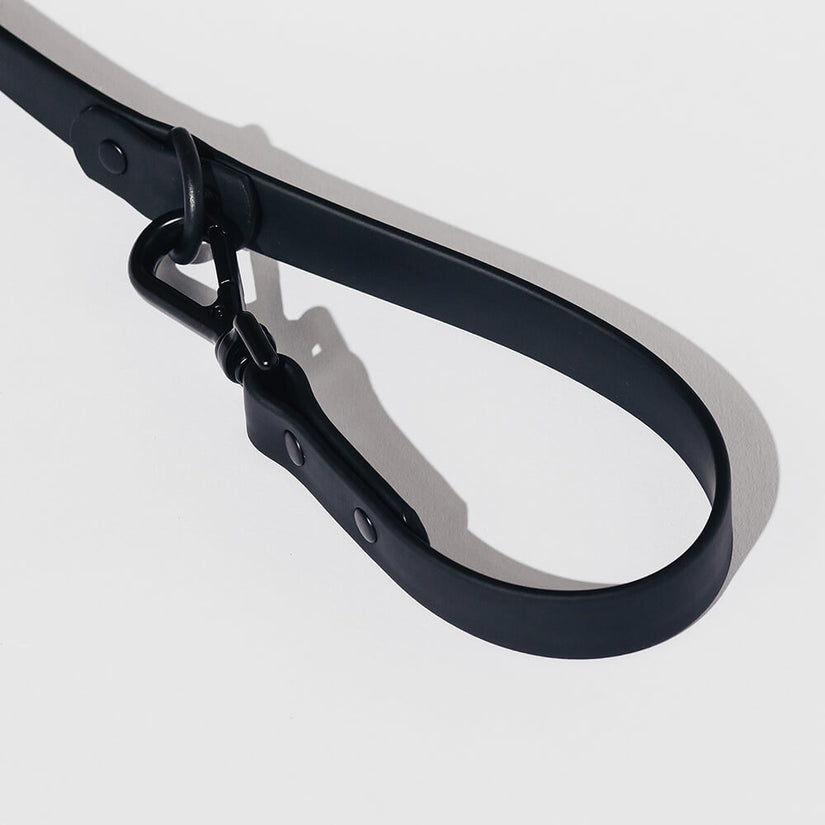 designer black dog collar and lead sets