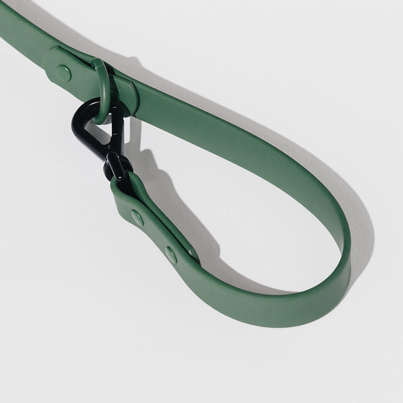 green designer dog collars and leads