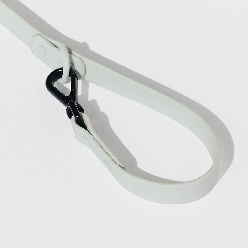 grey dog collars and leads