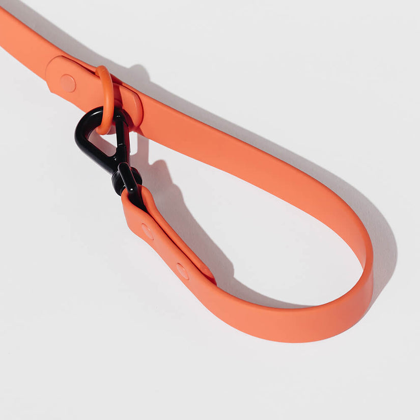 designer dog collar and lead set