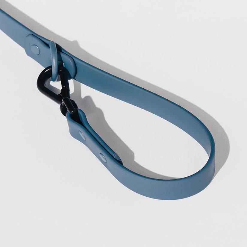 blue dog collar and lead set