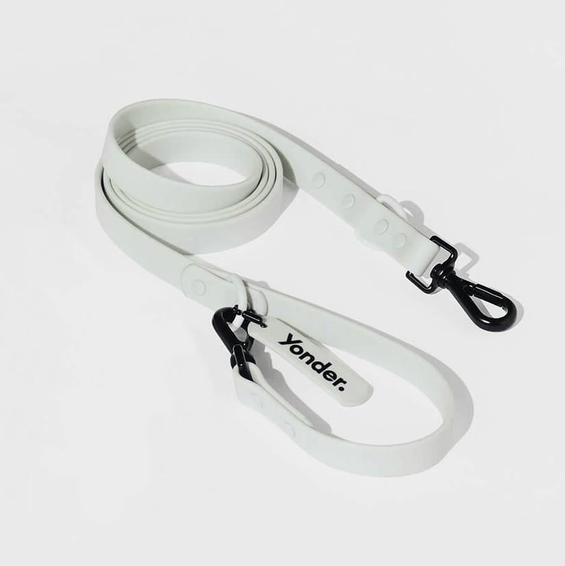 designer grey dog leads