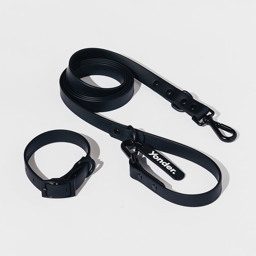 yonder dog black dog leash and collar set on a light gray background