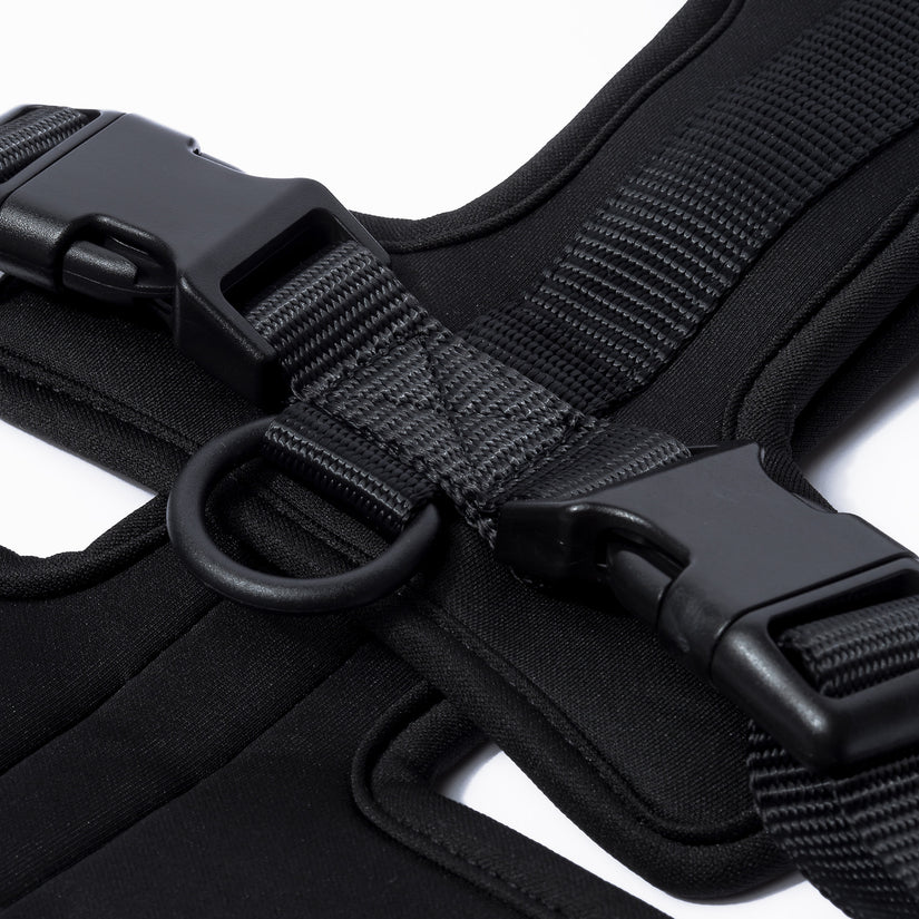 close-up of a black harness straps and buckles on a white background