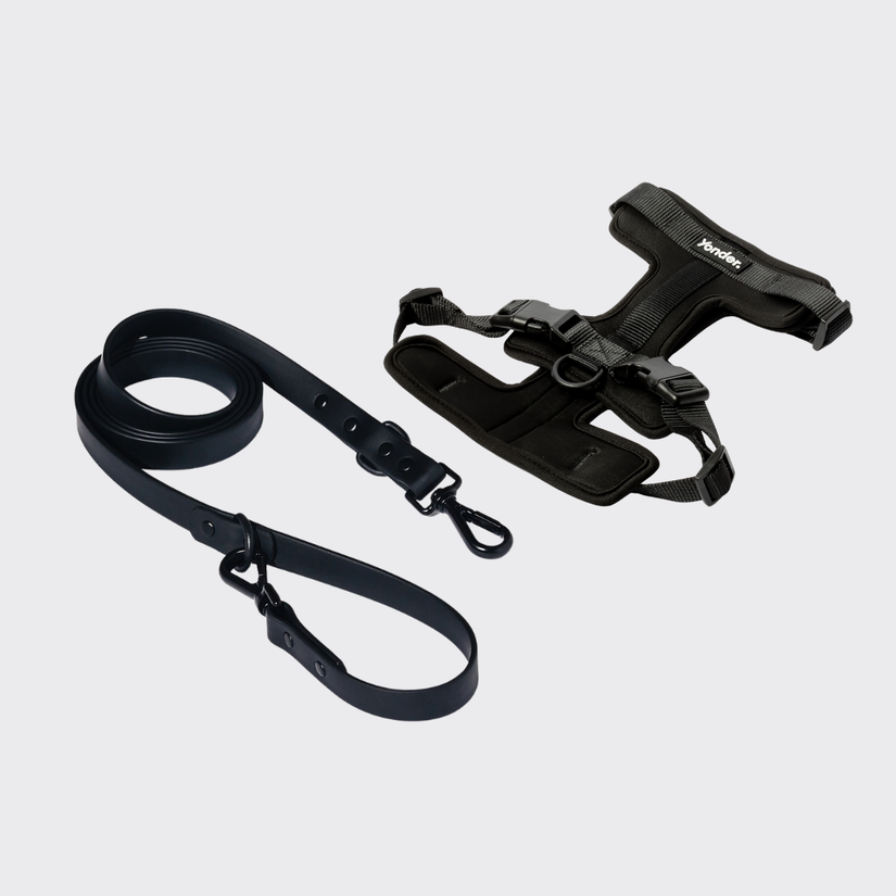 yonder dog black leash and harness