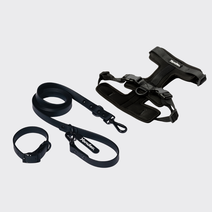 black dog harness, leash and collar set