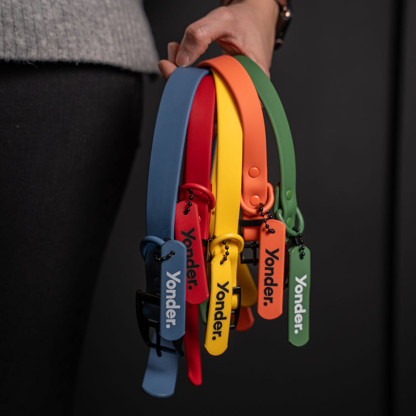 hand holding waterproof red dog collar & variants 