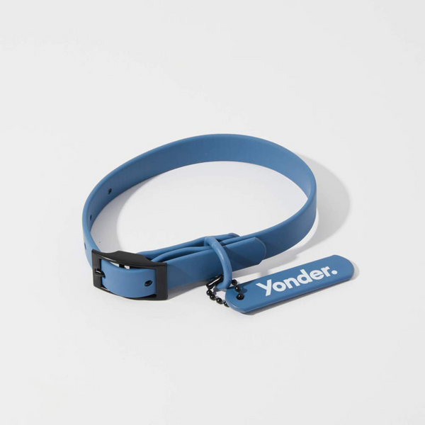 Designer blue dog collars