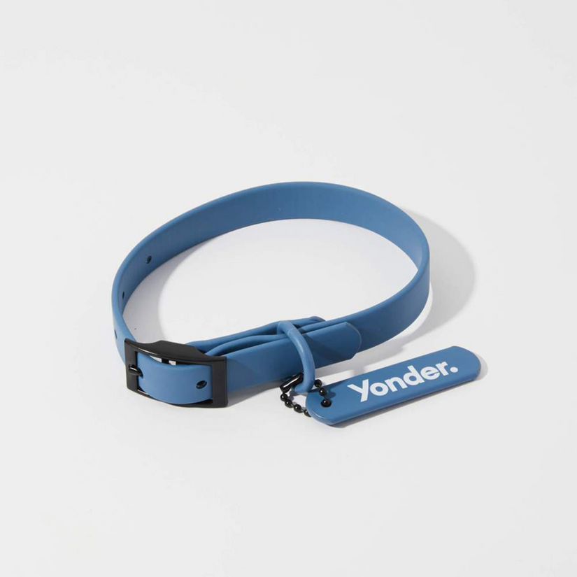 designer blue dog collars