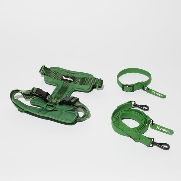 Green Dog Harness with Collar and Lead