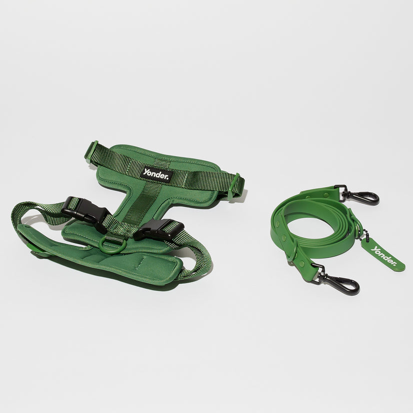 green dog harness and lead