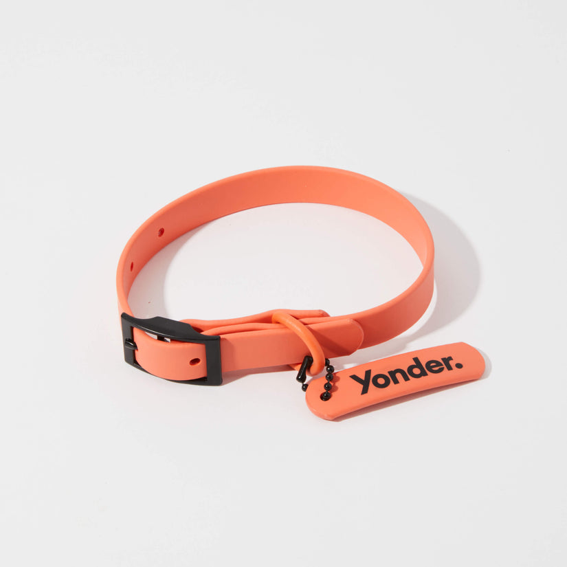 waterproof dog collar peach