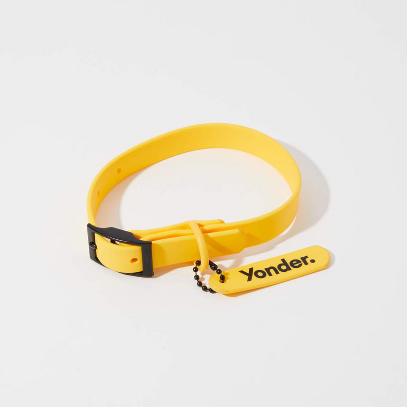designer yellow dog collars