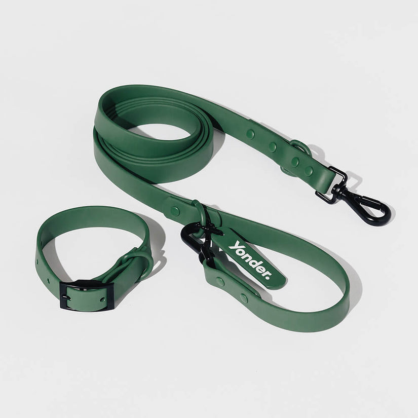 green dog collars australia