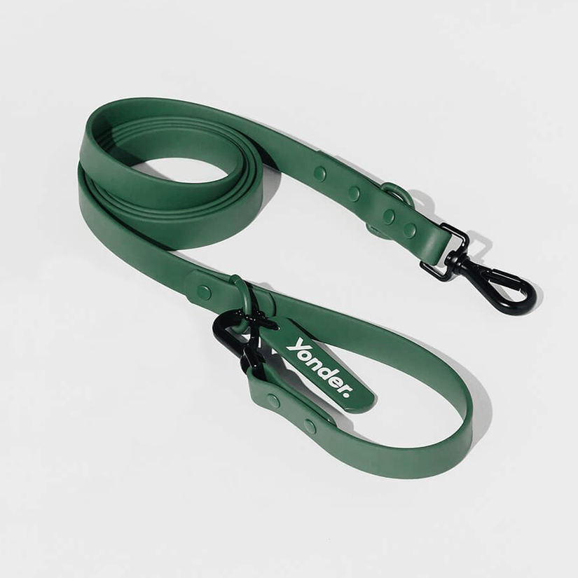 waterproof dog lead green