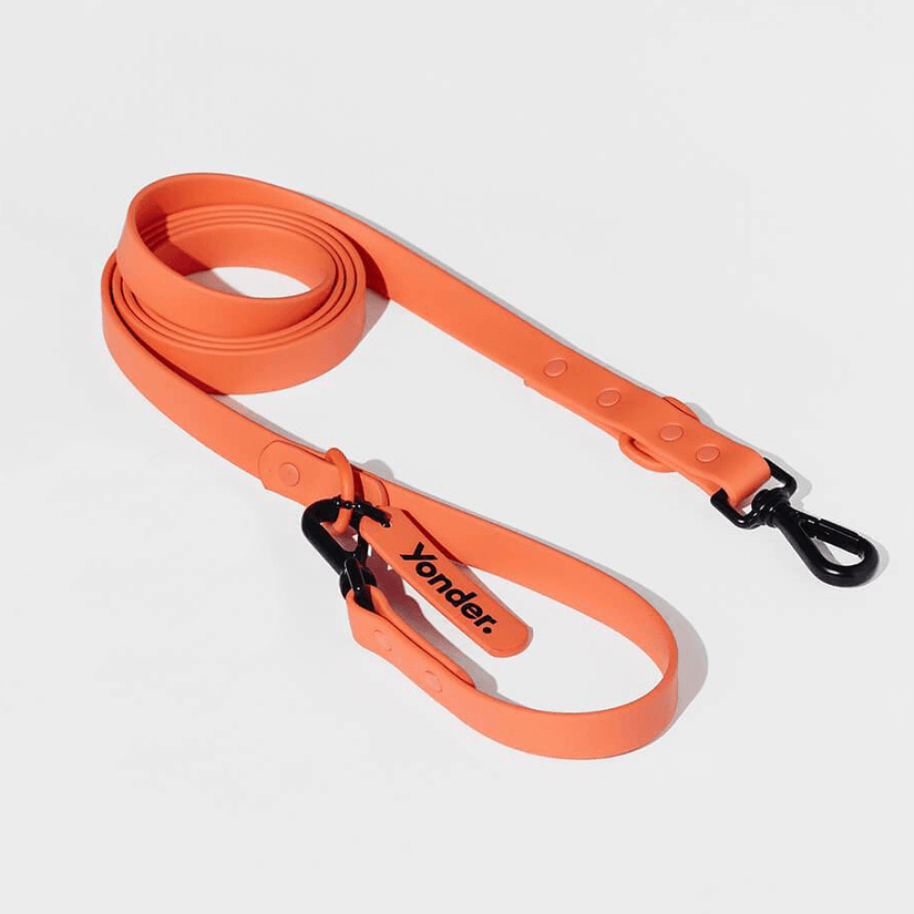 waterproof dog lead peach